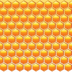 honeycomb