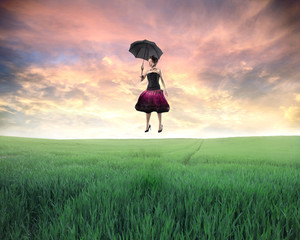 Fly away