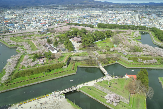 513 最適な 五稜郭公園 画像 ストック写真 ベクター Adobe Stock 513 最適な 五稜郭公園 画像 ストック写真 ベクター Adobe Stock