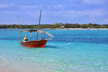 Fototapeta na wymiar Barca Nel klacz w Zanzibarze