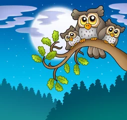 Wall murals Forest animals Cute owls on branch at night