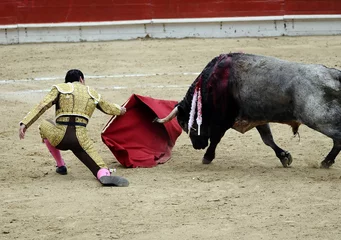 Tuinposter Stierenvechten Matador on Knees