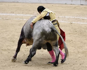 Cercles muraux Tauromachie Matador étreignant le taureau