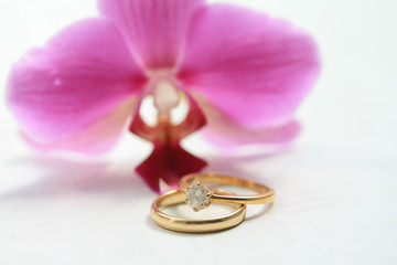 wedding bands and pink orchid