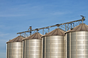 silos in beautiful landscape