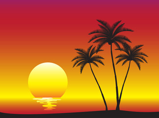 Fototapeta na wymiar Tropical sunset vector illustration