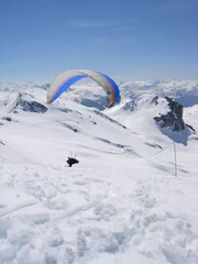 Foto op Plexiglas Rase motte © olivier guepin