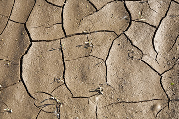 Cracked earth background