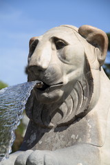 Lion fountain at Piazza del Popolo Rome
