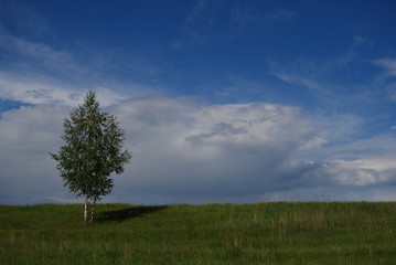 Obraz premium Russian Landscape