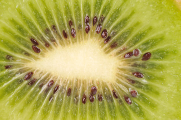 kiwi closeup