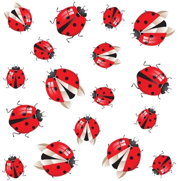 seamless with ladybirds