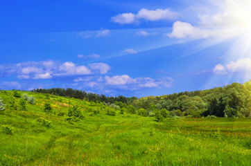 Fototapeta premium Summer landscape