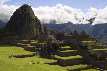Plaza Machu Picchu © ocphoto