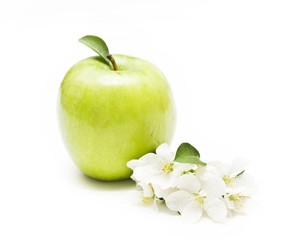 apple and flower