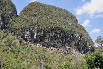 Höhlen in Vinales