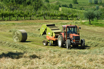 Obraz premium Agricoltura
