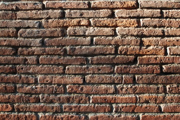 Texturas naturales