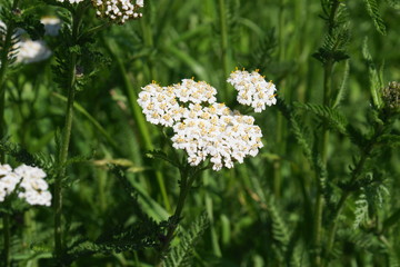 SONY DSC © Axel Gutjahr