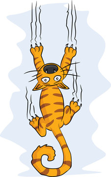 falling cat