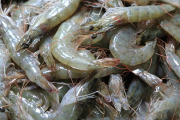 Raw prawn at market