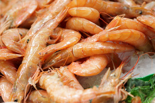 Shrimps at market