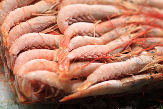 The prawns for sale