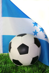 Naklejka premium Fußball-WM 2010