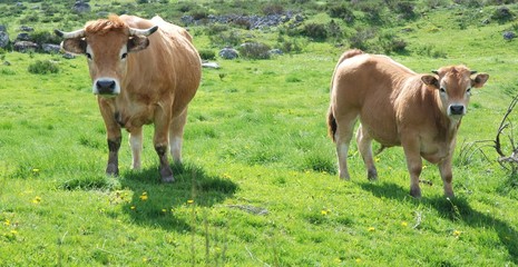 Curieux et attentifs