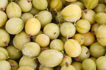 Frozen gooseberries
