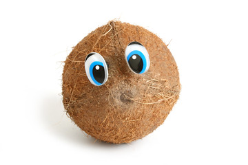 Funny coconut  with eyes