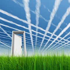 High resolution 3D white door opened in grass to the sky