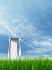 High resolution 3D white door opened in grass