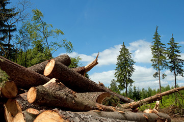 Holzhaufen