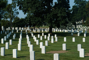 Arlington National Cemetery - 23300018