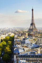 Fototapeta na wymiar A tree lined Parisian avenue leads to the Eiffel Tower