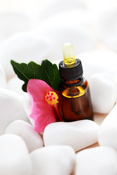 hibiscus essential oil
