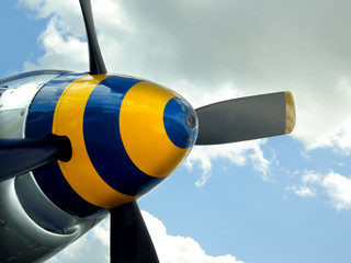 Colorful spinner nose cone