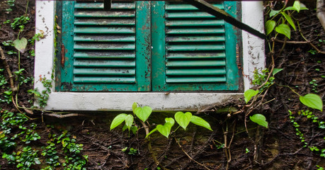 Beautiful vintage window