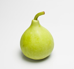 A green bottle gourd