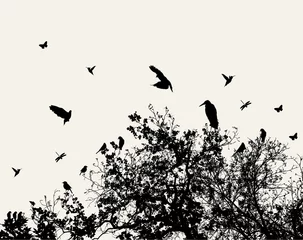 Afwasbaar Fotobehang Vogels in boom boom en vogel