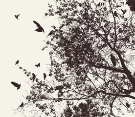 Photo sur Plexiglas Oiseaux sur arbre arbre et oiseau