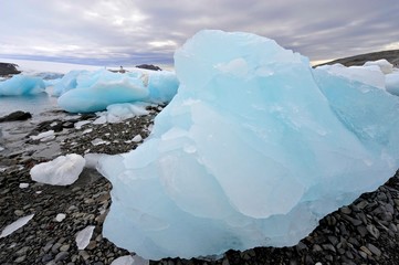 Iceberg on  the beach  of Hope Bay