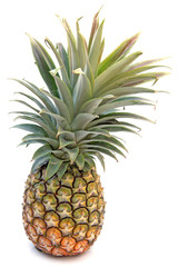 ananas tropical, fond blanc