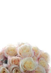 background of roses