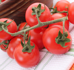 Tomaten