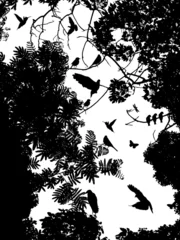 Papier Peint photo Oiseaux sur arbre arbre