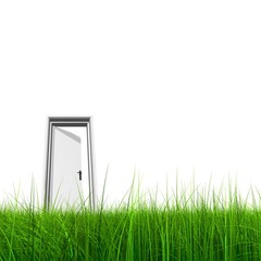 High resolution 3D opened door in grass isolated