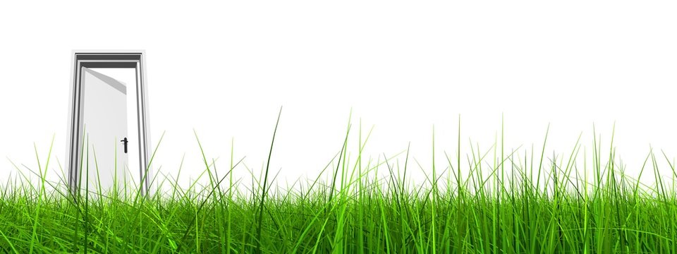 High resolution 3D opened door in grass isolated