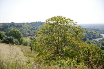 collina vista fiume